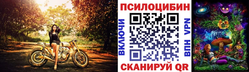 блэк спрут вход  Дятьково  Галлюциногенные грибы мицелий  дарнет шоп 